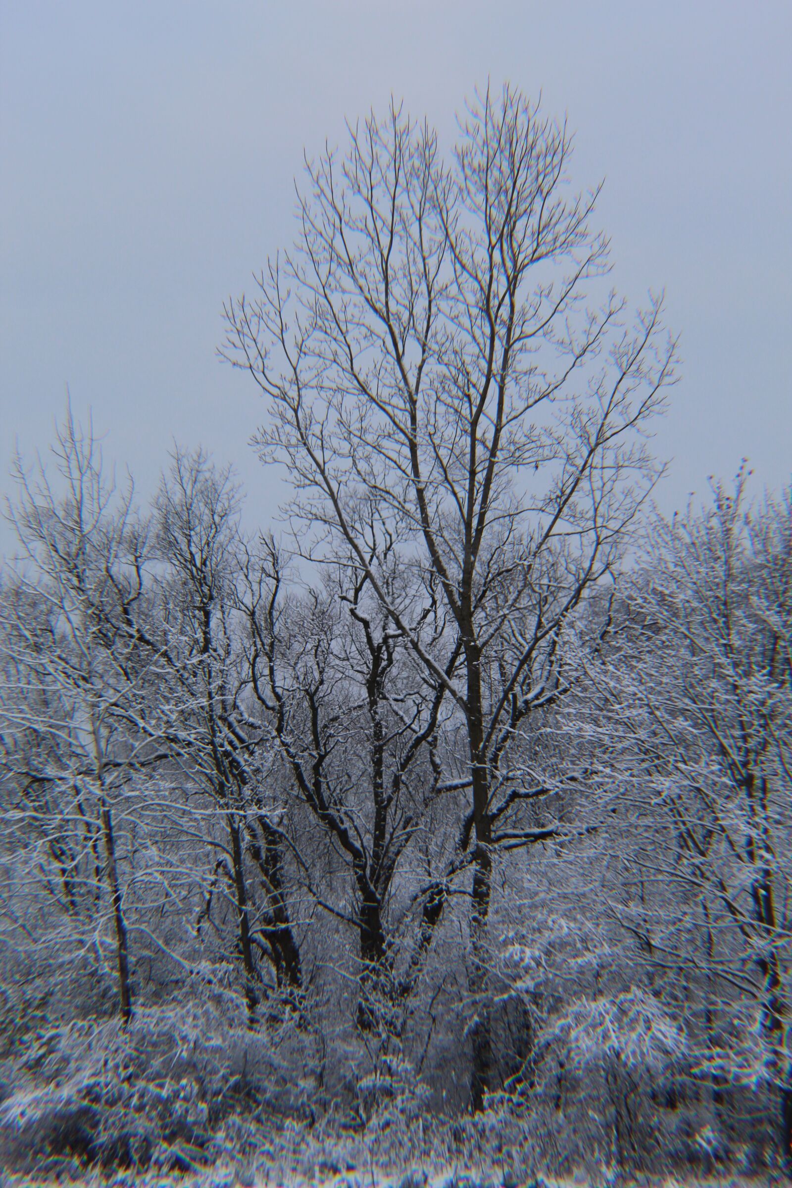 Canon EOS 1300D (EOS Rebel T6 / EOS Kiss X80) sample photo. Michigan winter, white, snow photography
