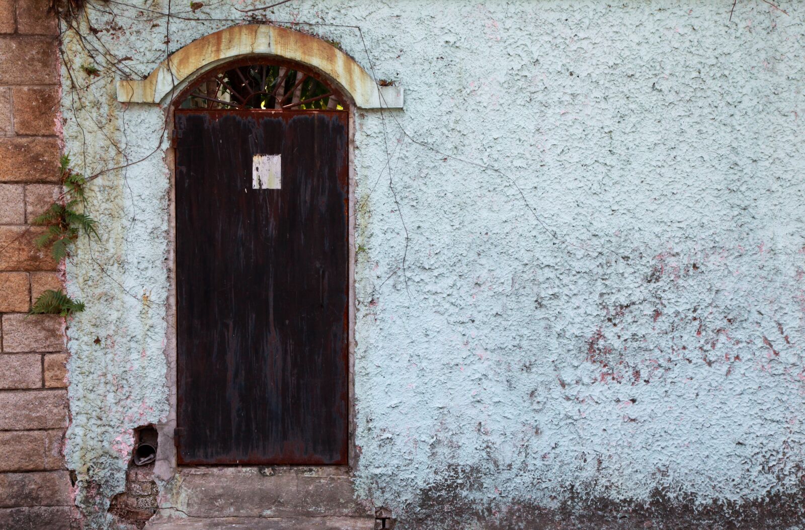 Canon EOS 5D Mark II sample photo. Gate, metal, wall photography