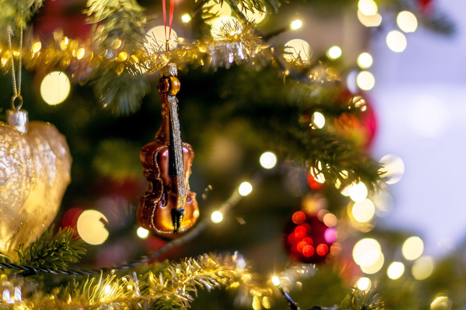 Canon EOS 5D Mark II sample photo. Christmas, christmas tree, christmas photography