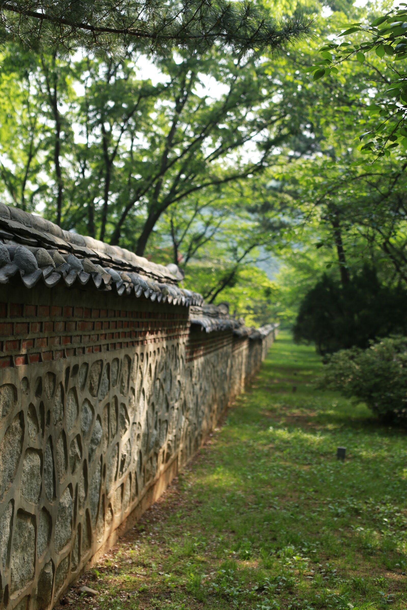Canon EOS 6D + Canon EF 50mm F1.4 USM sample photo. Wood, wall, stone photography