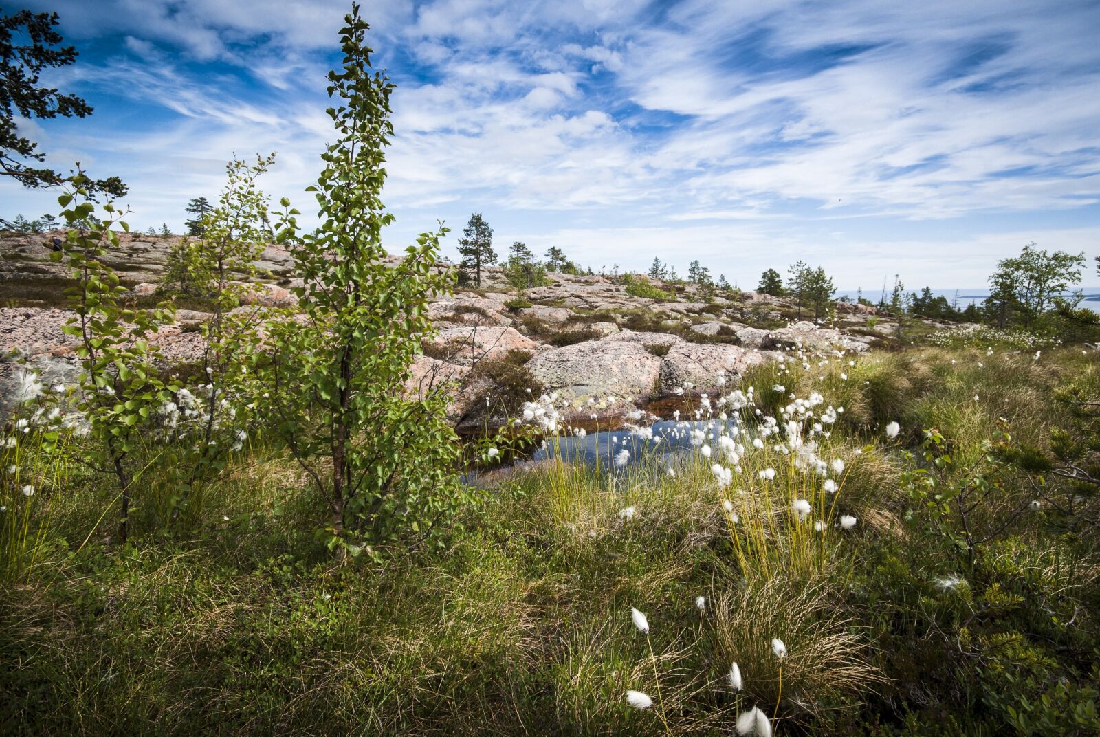 Nikon D60 sample photo. Nordic, landscape, norway photography