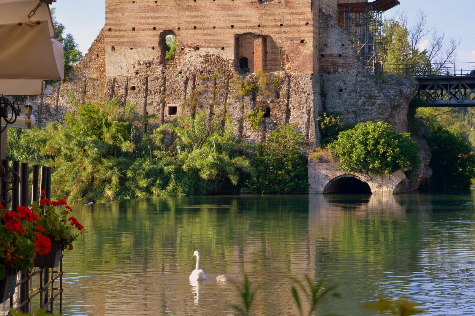 Nikon D7100 sample photo. Lake, swans, flowers photography
