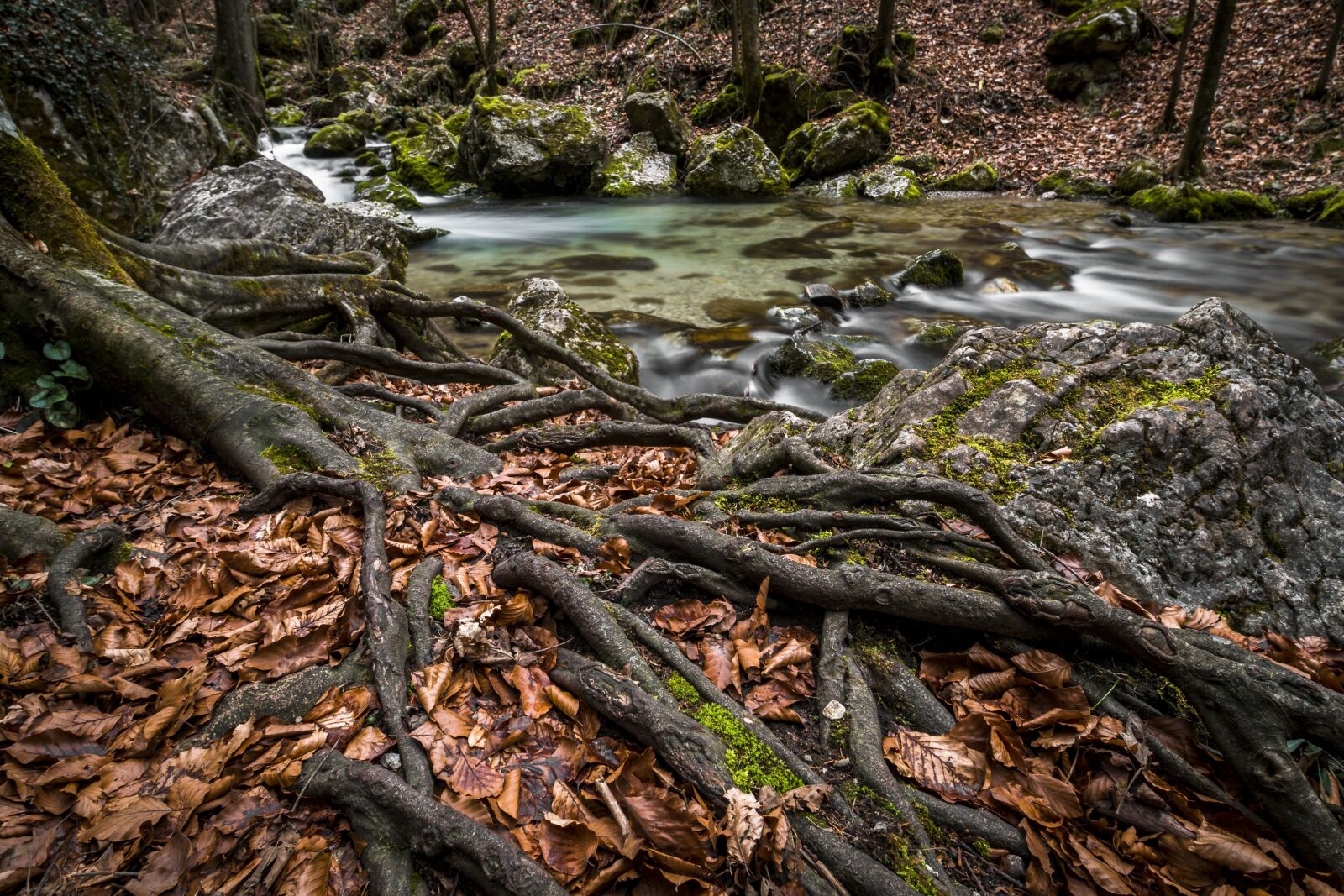 Canon EOS 70D sample photo. Water, bach, river photography