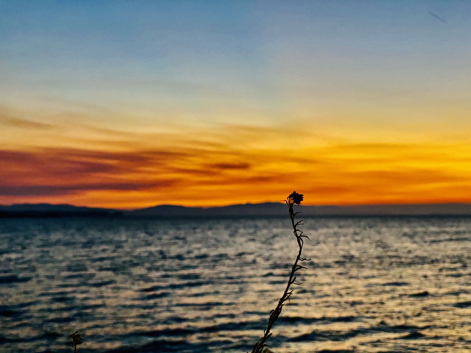 iPhone 11 Pro Max back triple camera 6mm f/2 sample photo. Sunset, go to beach photography