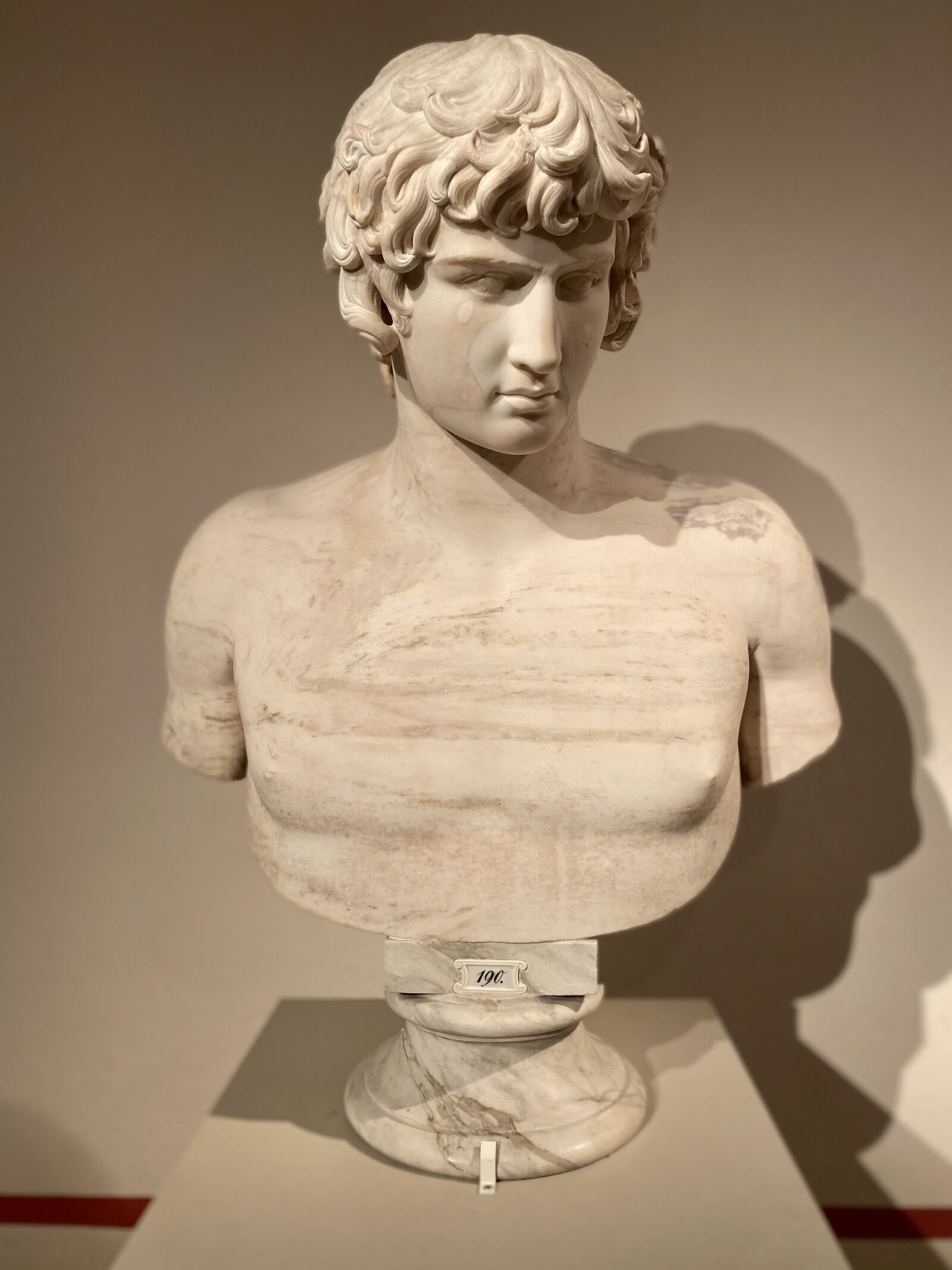 iPhone 11 Pro back dual wide camera 4.25mm f/1.8 sample photo. Sculpture, antinous, marble photography