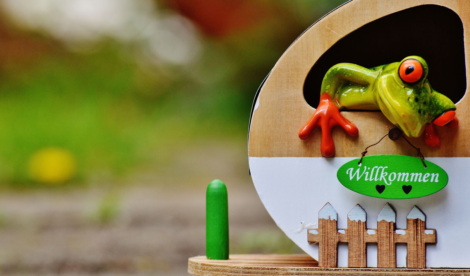 Nikon D3200 sample photo. Frogs, caravan, funny photography