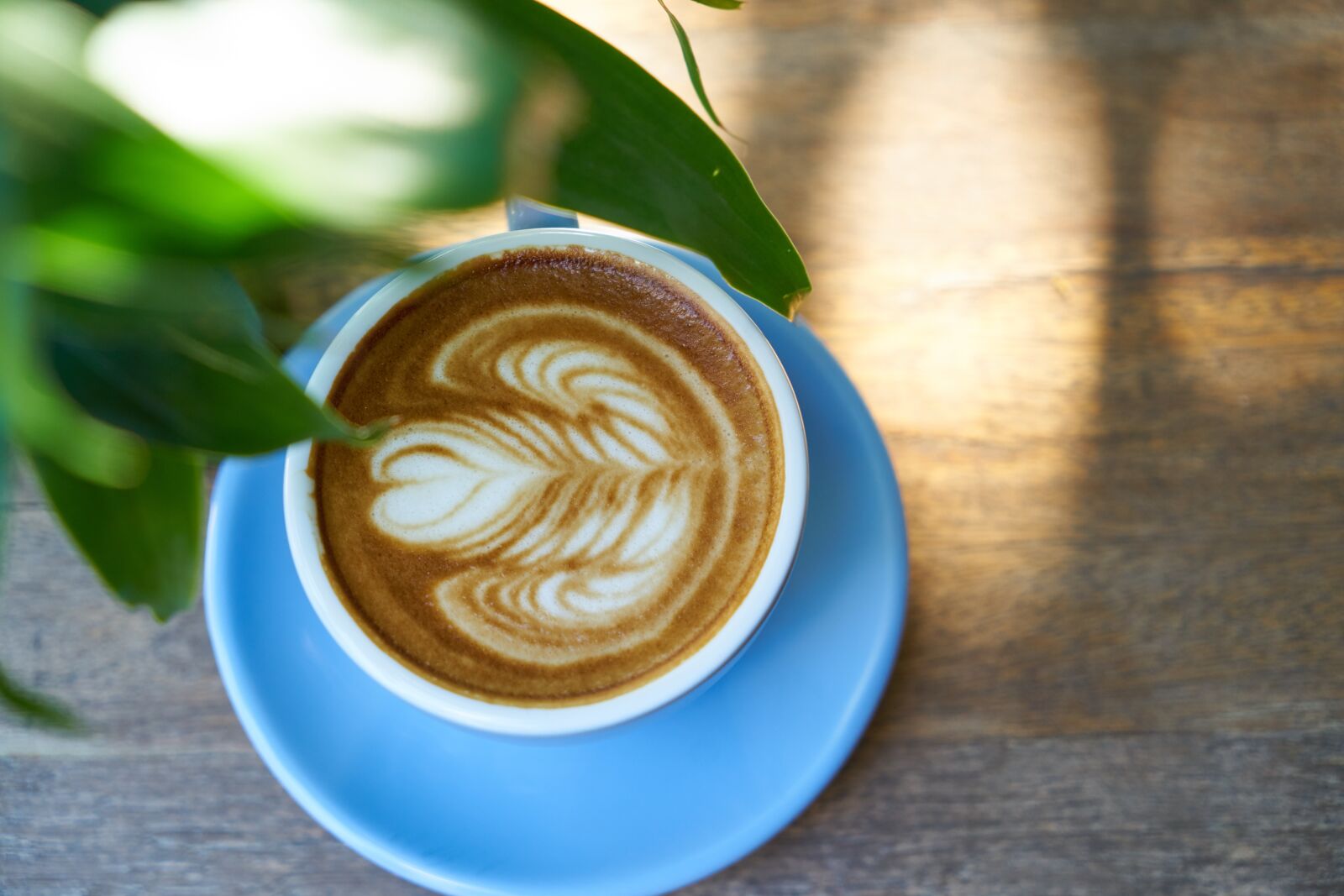 Sony a7R II sample photo. Coffee, latte, brown photography