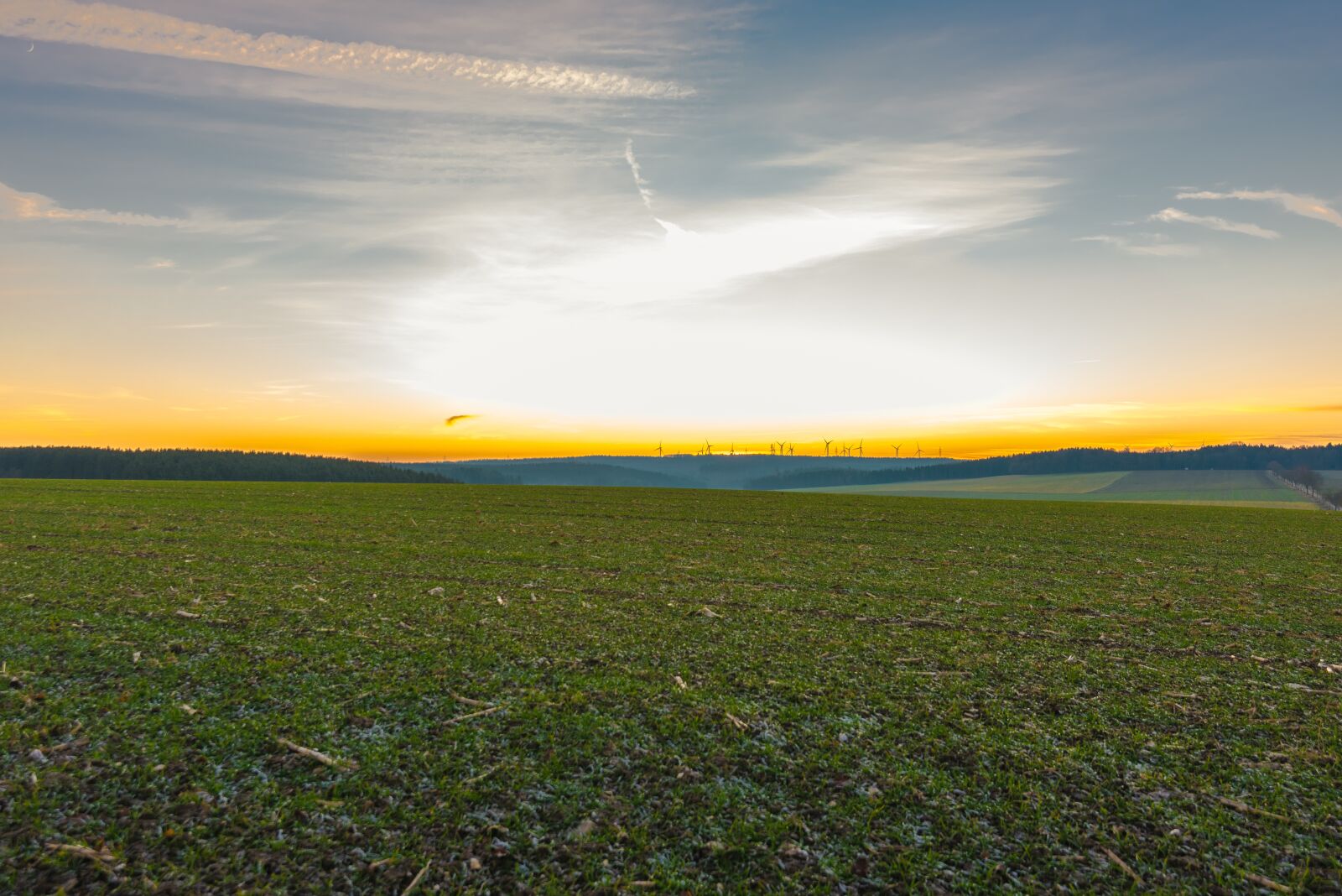 Nikon D810 sample photo. Agriculture, field, landscape photography