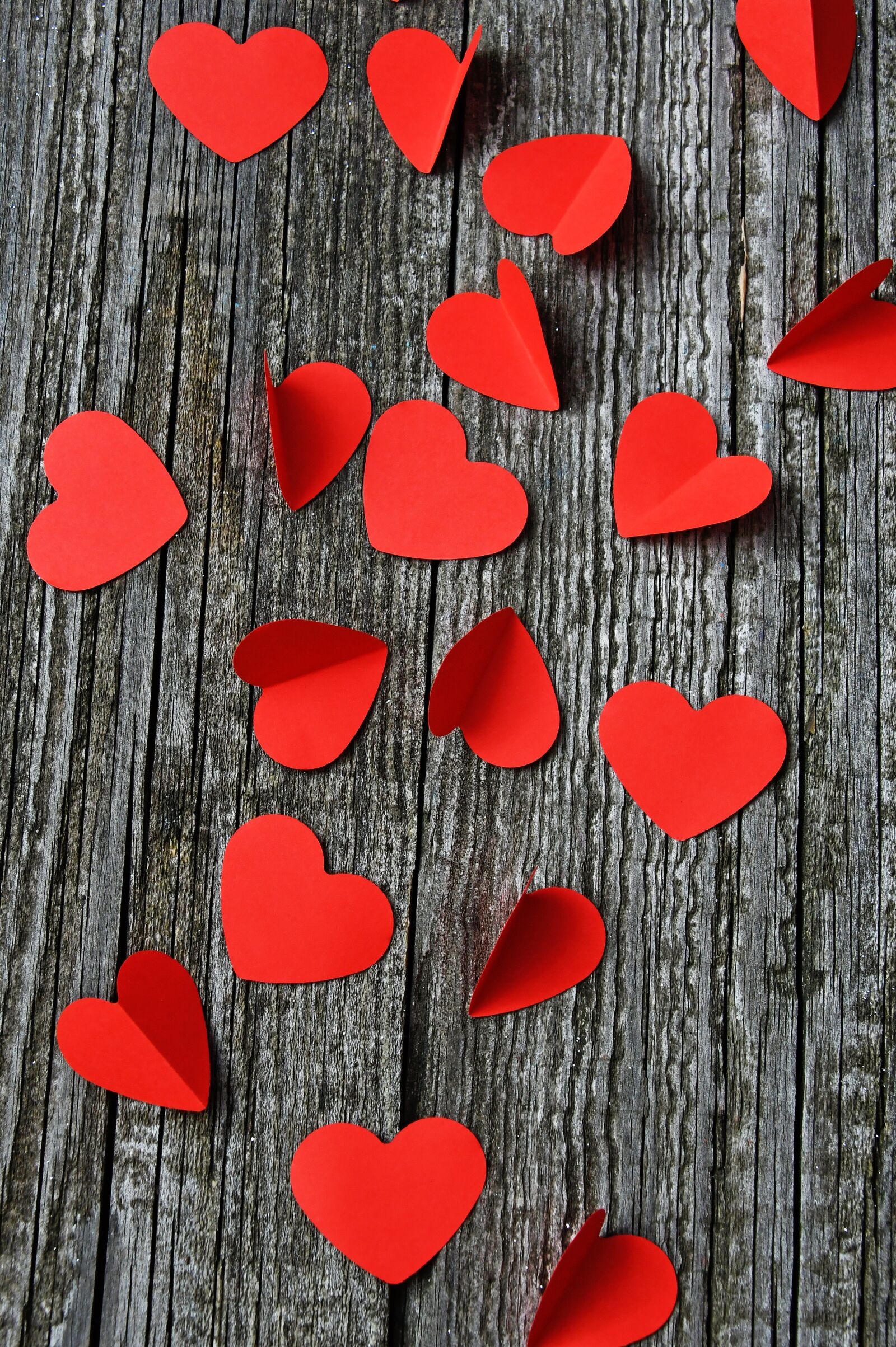 Nikon D3200 sample photo. Valentine's, valentine's day, love photography