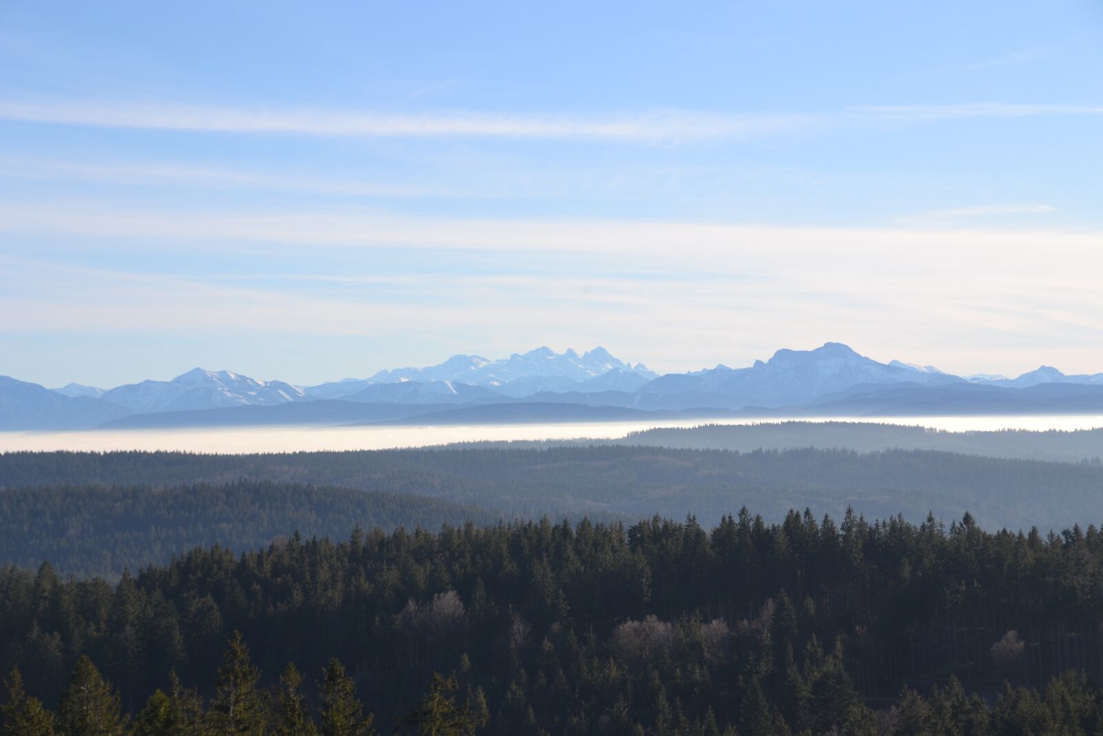 Nikon D3100 sample photo. Forest, mountains, sky photography