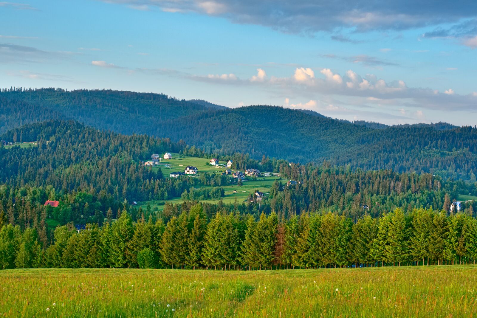 Nikon D5300 sample photo. Landscape, forest, mountains photography