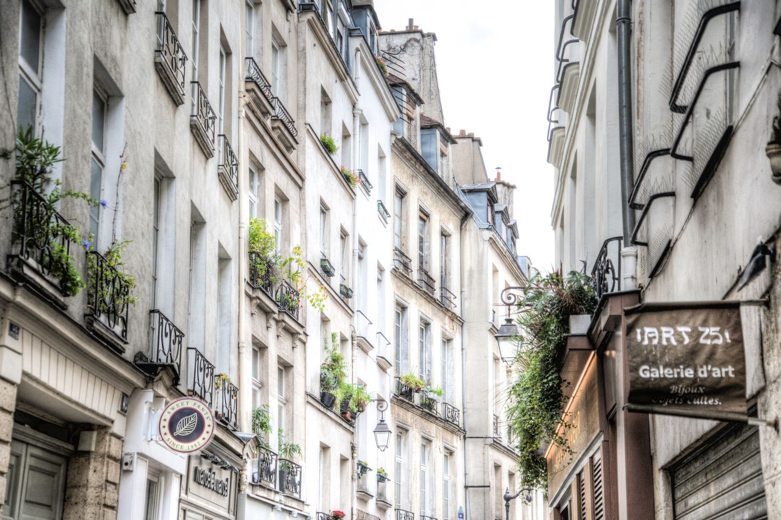 Nikon D600 sample photo. Street, paris, france photography