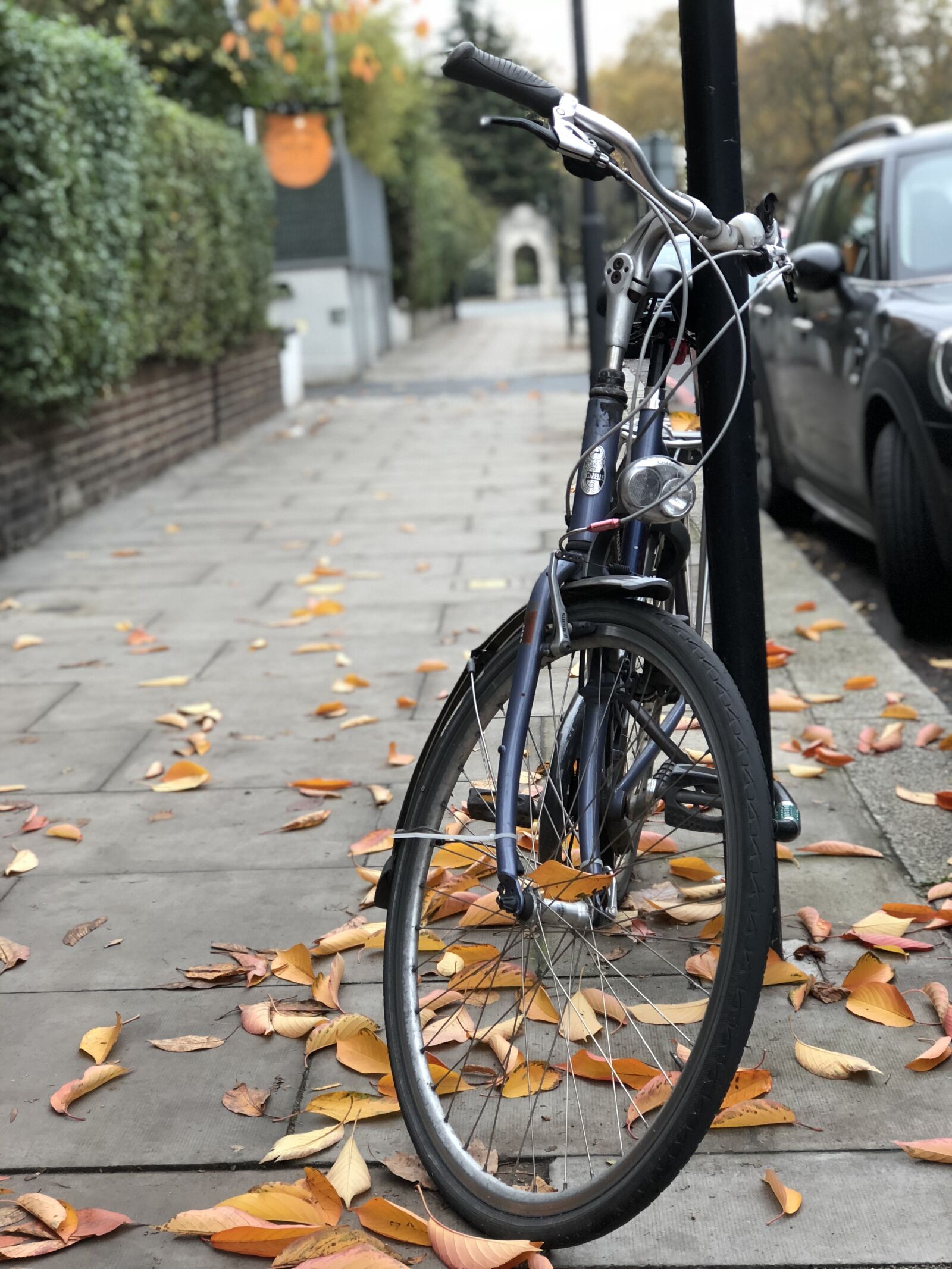 Apple iPhone 8 Plus sample photo. Bike, autumn, leaves photography