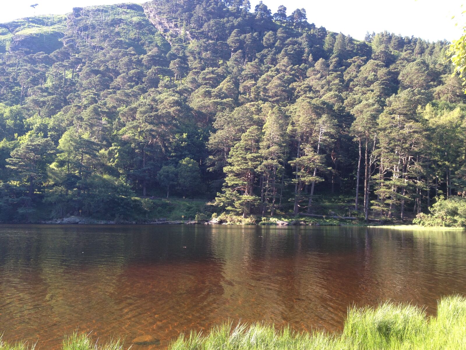 Apple iPhone 4S sample photo. Lake, trees, nature photography