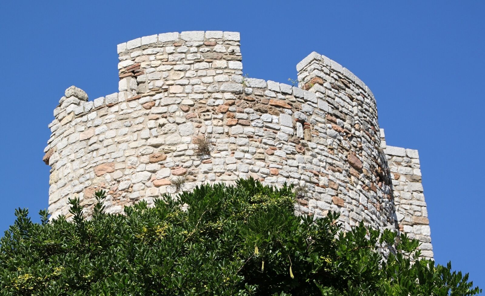 Canon EOS 500D (EOS Rebel T1i / EOS Kiss X3) sample photo. Castle, cannes, france photography
