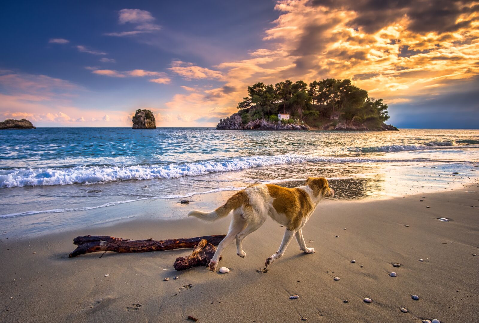 Fujifilm X-T20 sample photo. Sunset, dog, sea photography