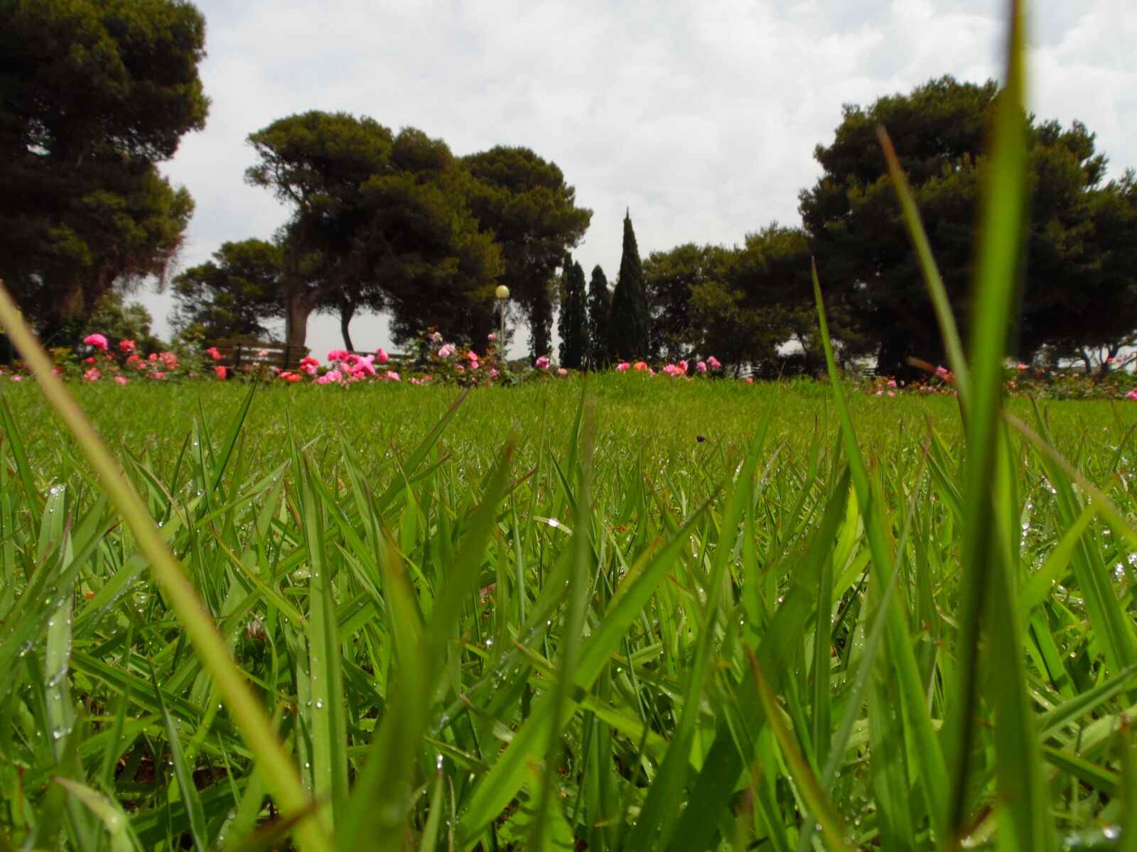 Samsung WB1100F/WB1101F/WB1102F sample photo