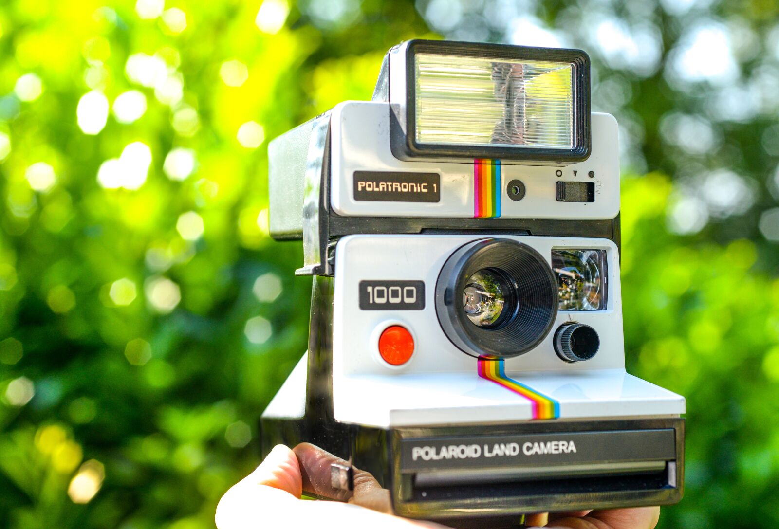 Nikon D610 sample photo. Polaroid, camera, photography photography
