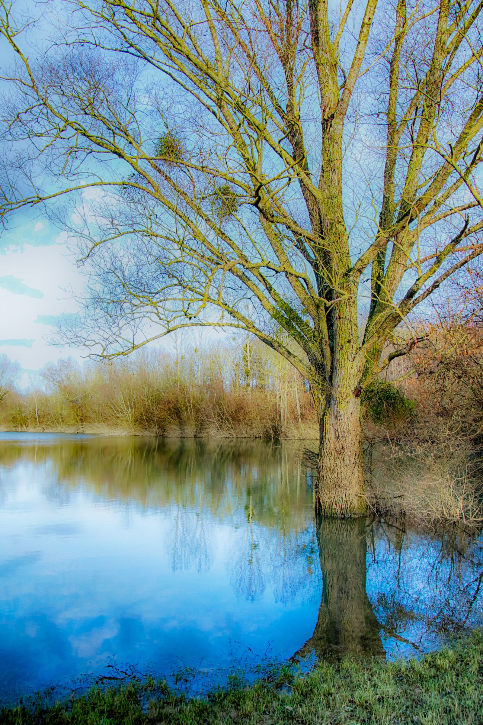Canon EOS 70D sample photo. Landscape, fairy, fantasy photography