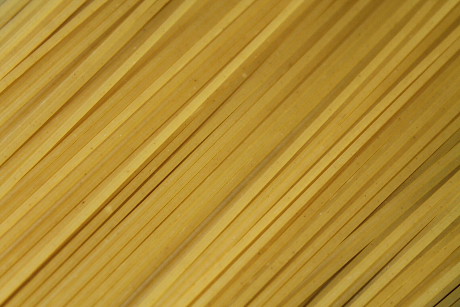 Canon EOS 1100D (EOS Rebel T3 / EOS Kiss X50) sample photo. Pasta, food, spaghetti photography