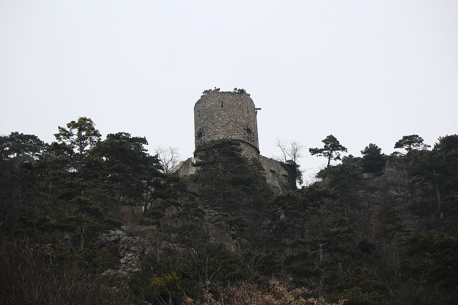 Canon EOS 100D (EOS Rebel SL1 / EOS Kiss X7) + Canon EF-S 55-250mm F4-5.6 IS sample photo. Black tower, castle, fortress photography