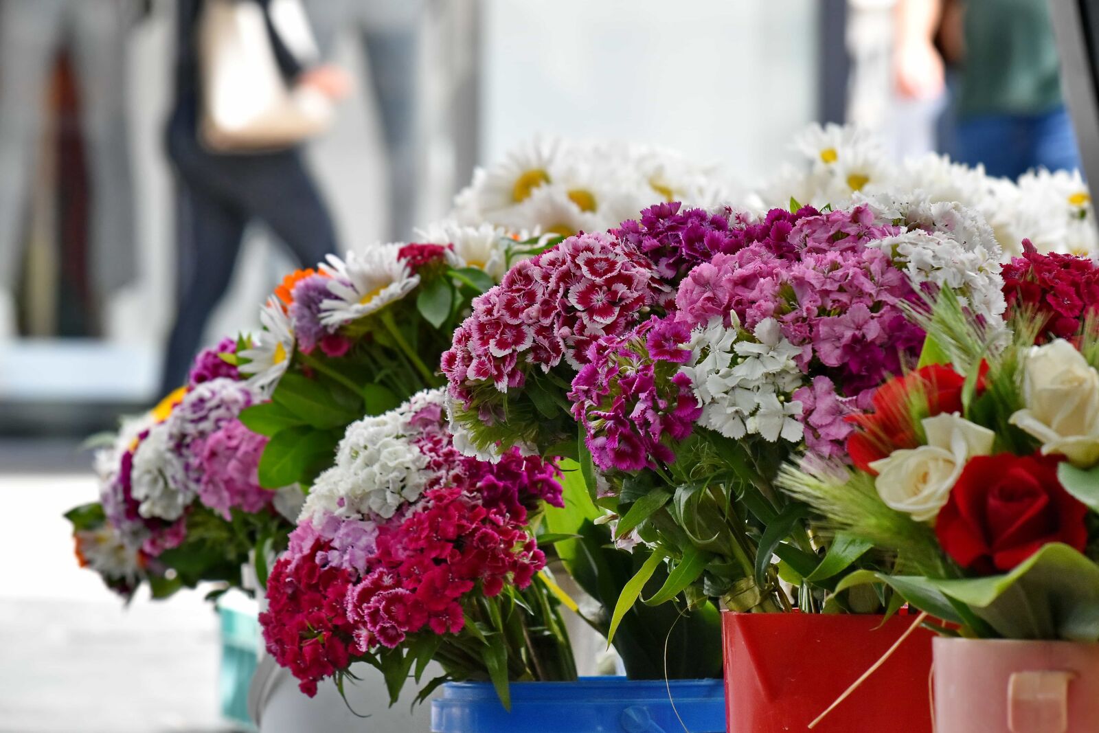 Nikon D5500 sample photo. Bouquet, carnation, marketplace, roses photography