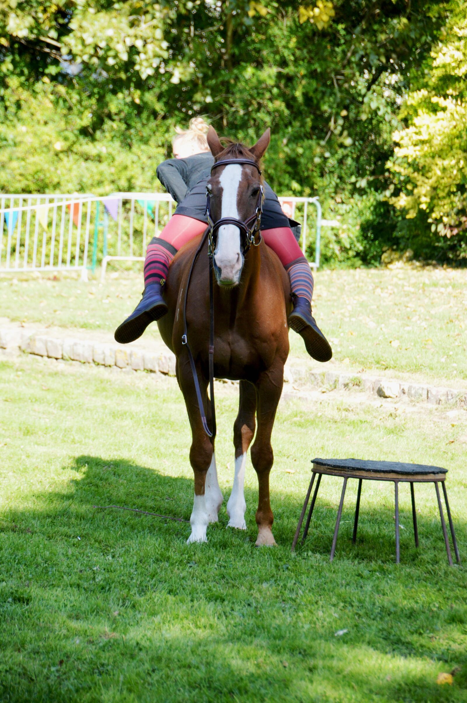 Nikon D3200 sample photo. Show, circus, equestrian photography