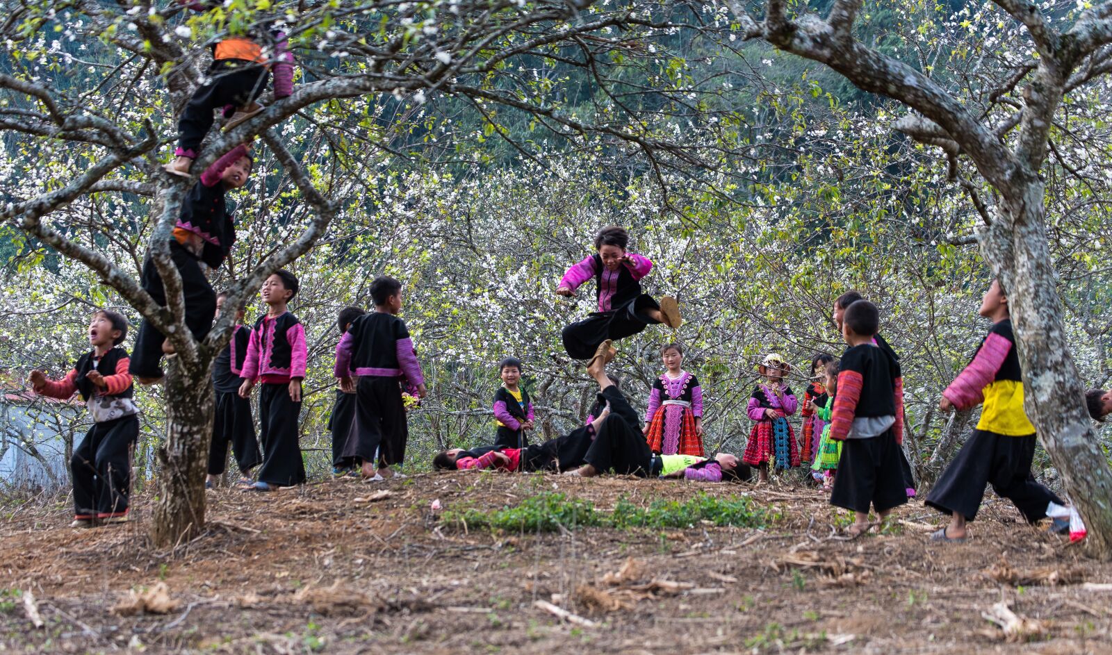 Nikon D750 sample photo. Kids, play, little photography