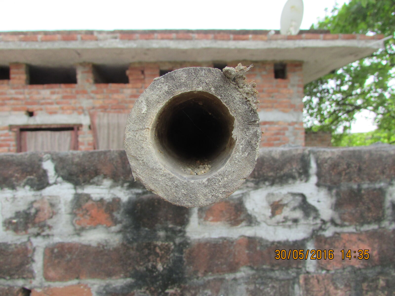Canon PowerShot SX400 IS sample photo. Wooden, bamboo, nature, day photography