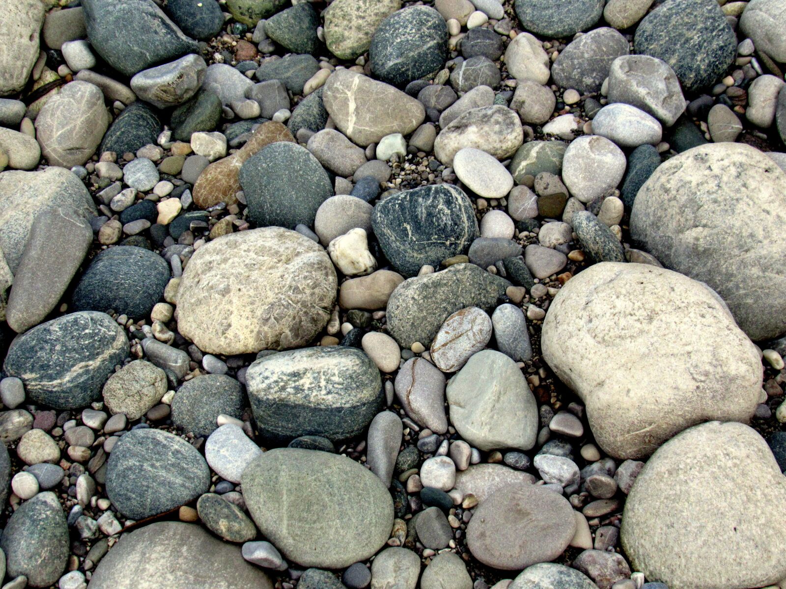 Canon PowerShot SX530 HS sample photo. Shore stones, boulders, stones photography
