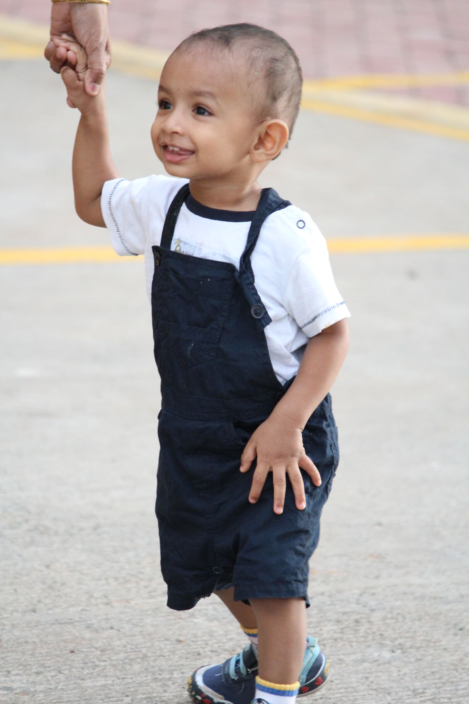 Canon EF-S 55-250mm F4-5.6 IS II sample photo