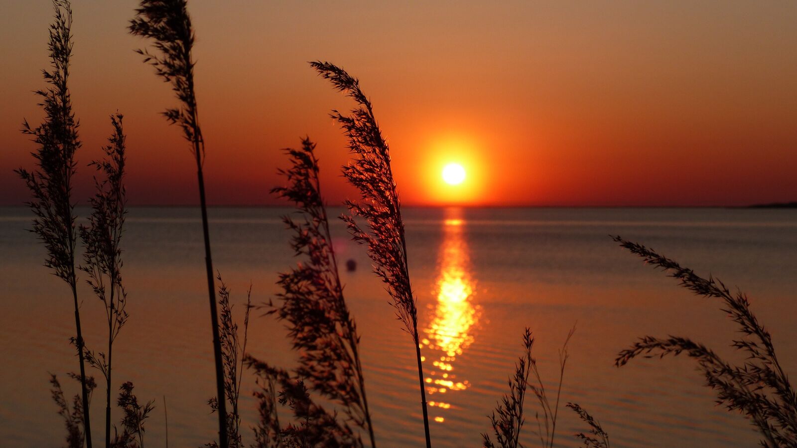 Panasonic Lumix DMC-FZ200 sample photo. Sunset, baltic sea, sea photography