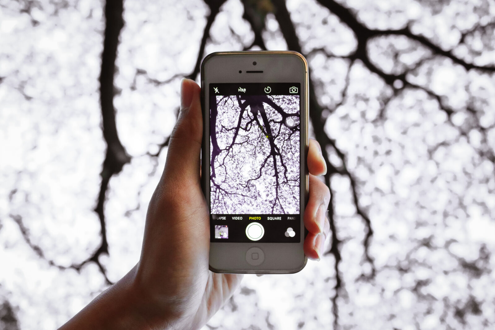 Canon EOS 70D sample photo. Abstract, photo, iphone, lanscape photography