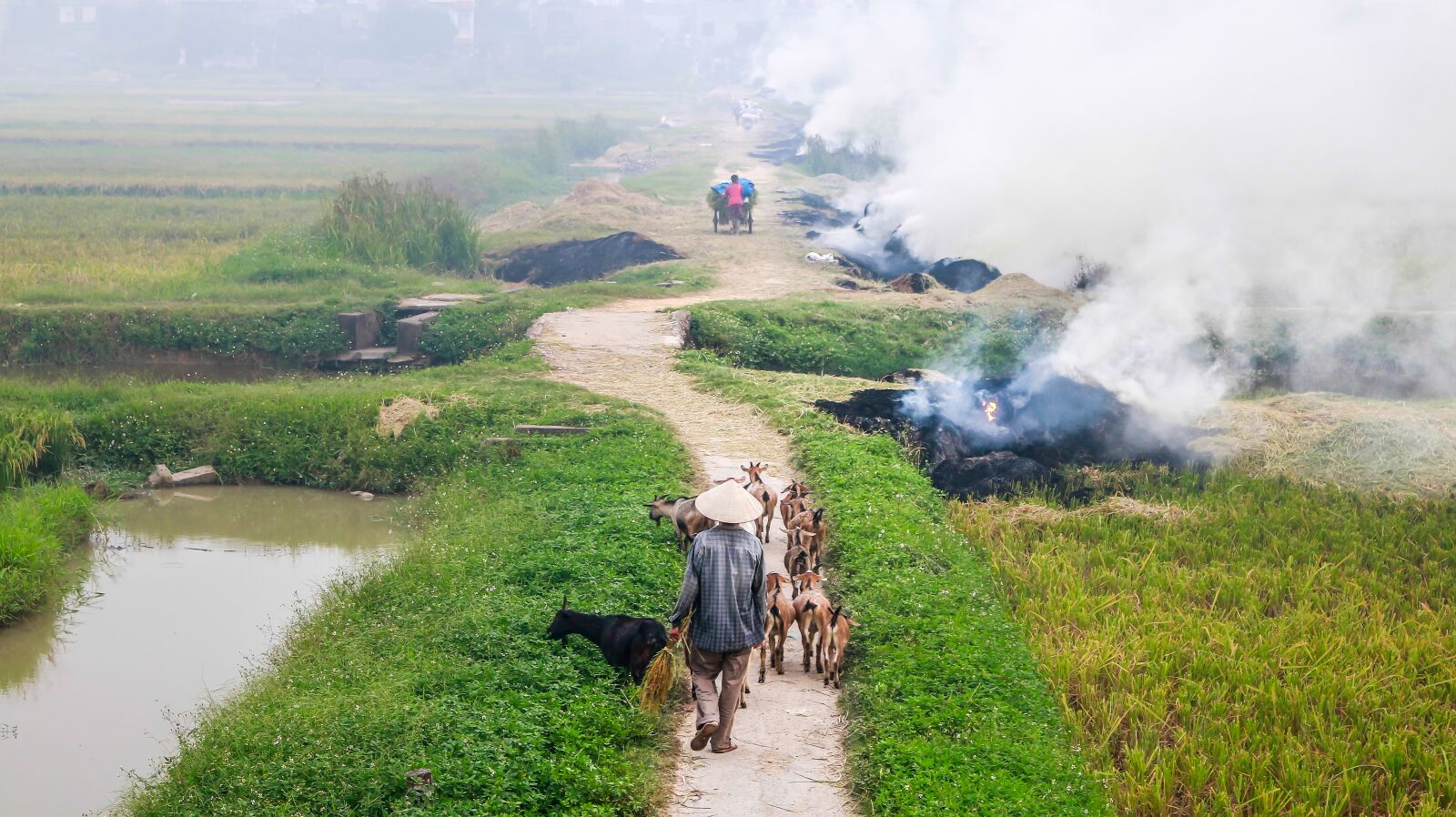 Canon EOS 70D sample photo. People, goat, asia photography
