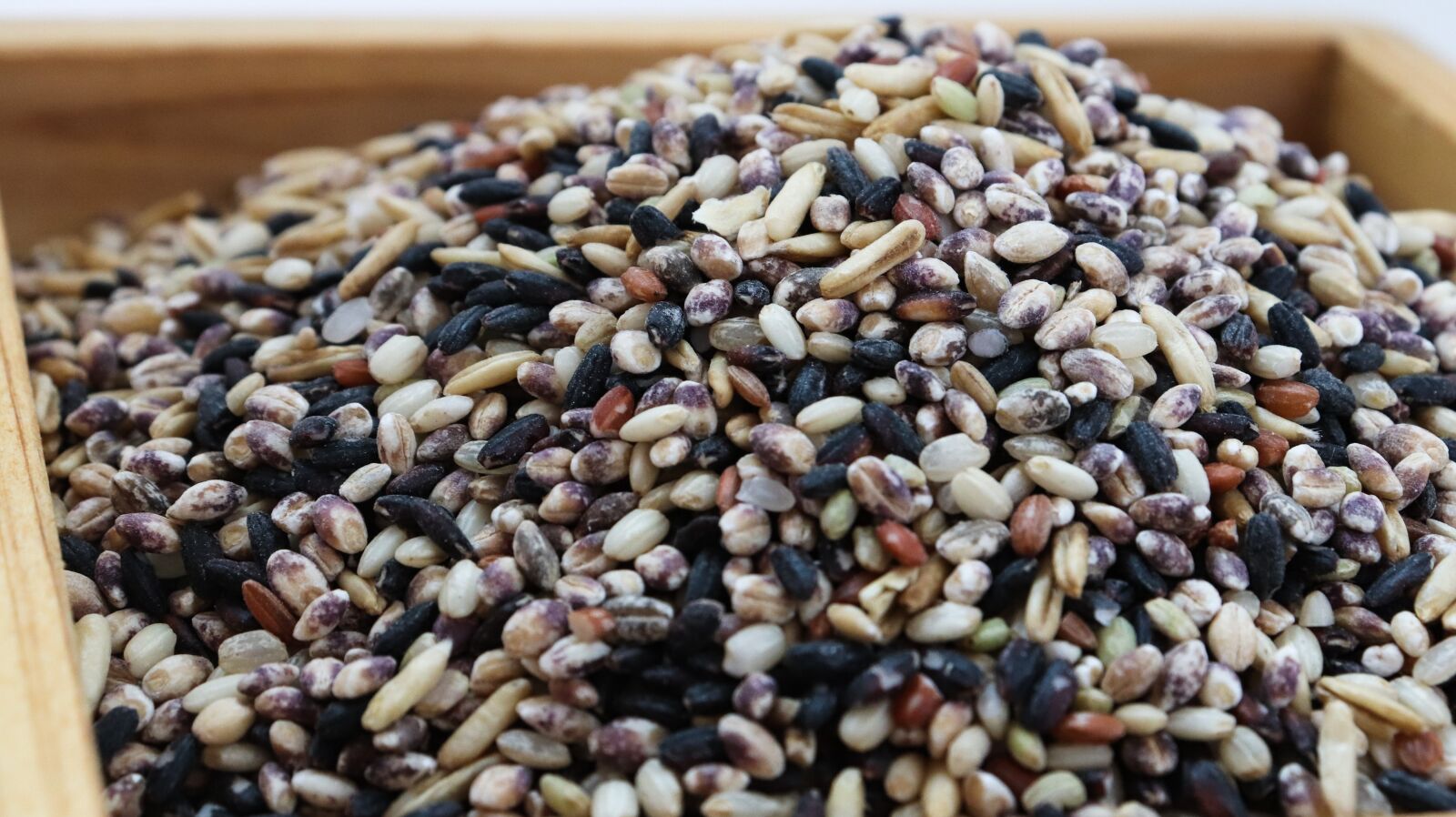 Canon EOS 200D (EOS Rebel SL2 / EOS Kiss X9) sample photo. Rice, the nutritional value photography