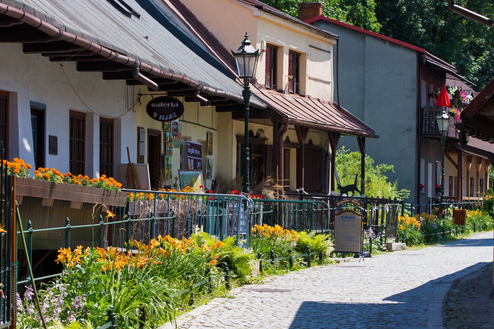 Nikon D7100 sample photo. Summer, charming, corner photography