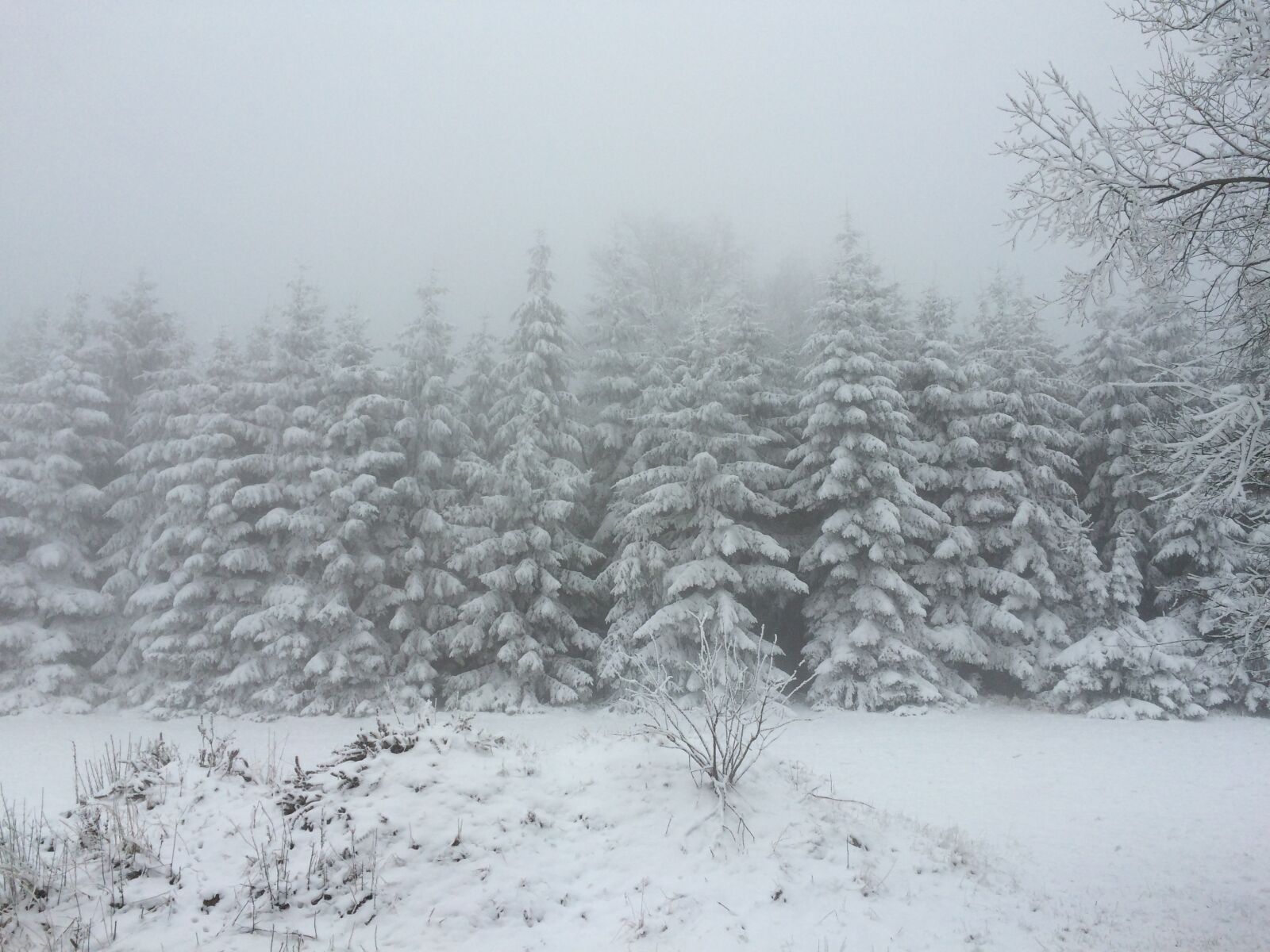 iPhone 5s back camera 4.15mm f/2.2 sample photo. Winter, landscape, snow photography