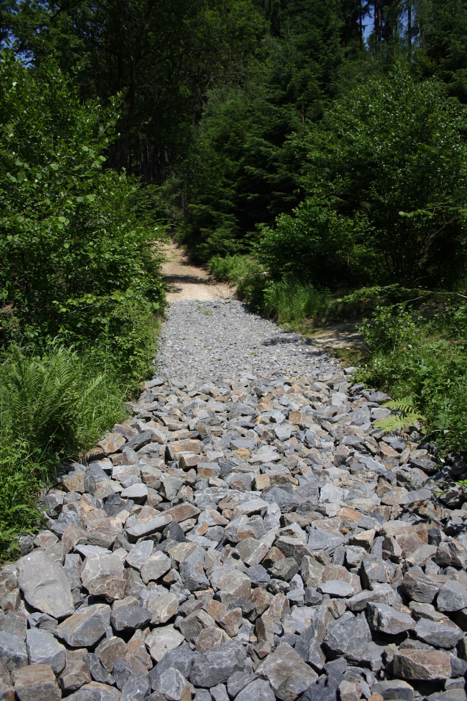 Canon EF-S 18-55mm F3.5-5.6 II sample photo. Path, stones, summer, trees photography