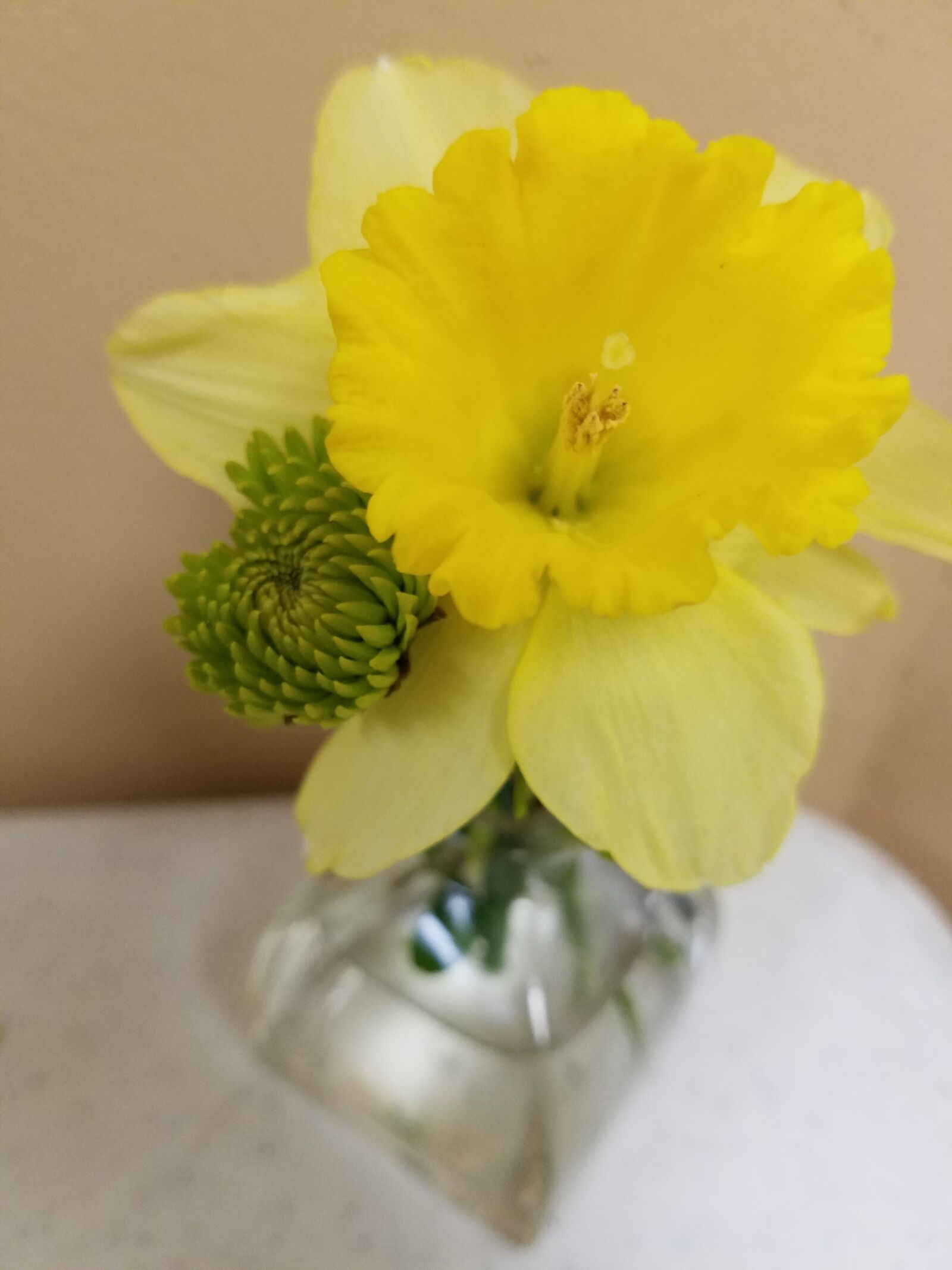 Samsung Galaxy S7 sample photo. Flower, vase, decoration photography