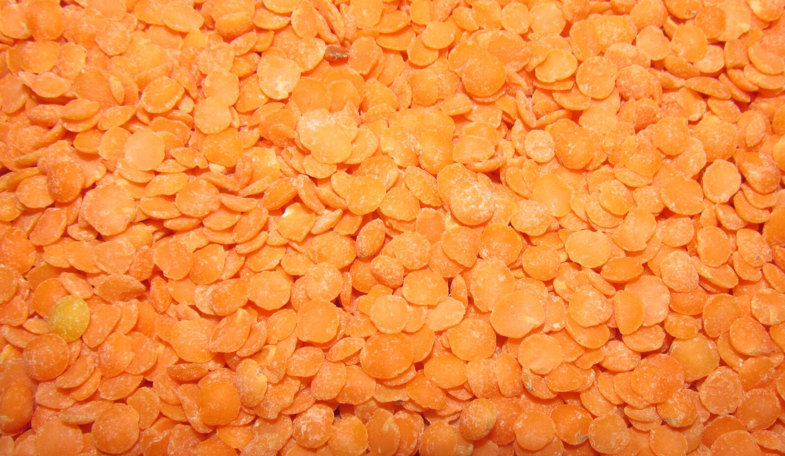 Canon PowerShot SX170 IS sample photo. Red lentils, nutrition, healthy photography