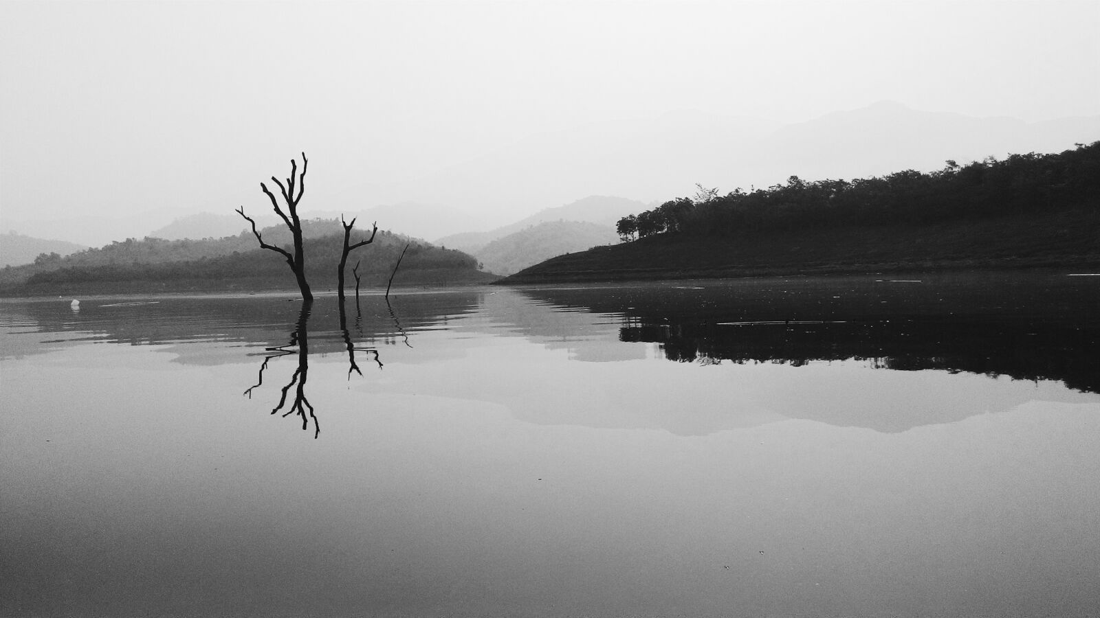 ASUS T00J sample photo. Lake, black, white photography