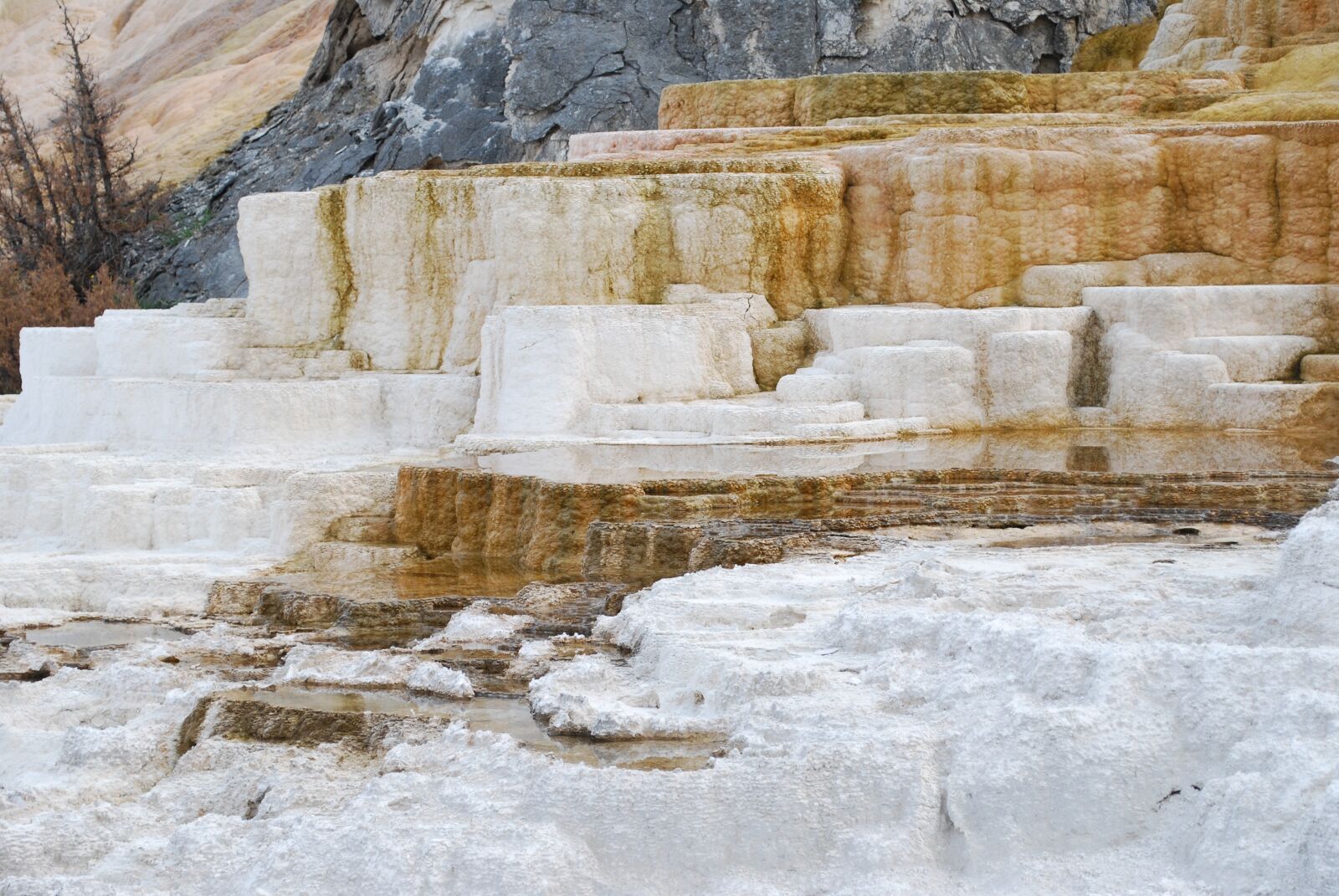 Nikon D60 sample photo. Beautiful landscape, yellowstone, nature photography