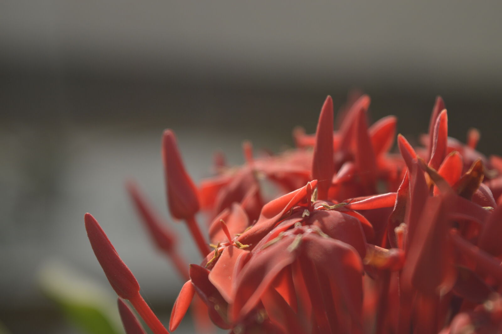 Nikon D3200 sample photo