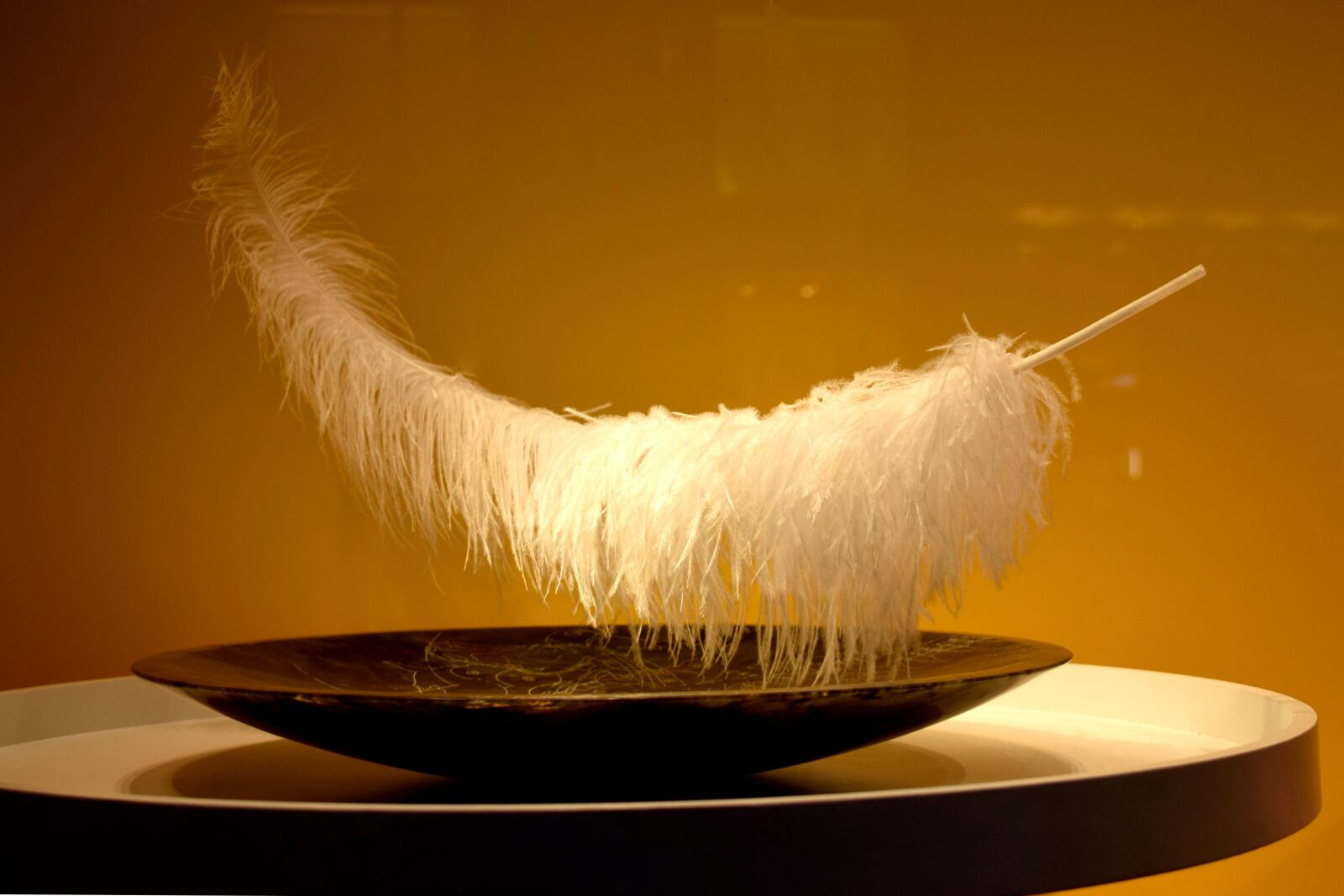Nikon D3300 sample photo. Feather, plate photography