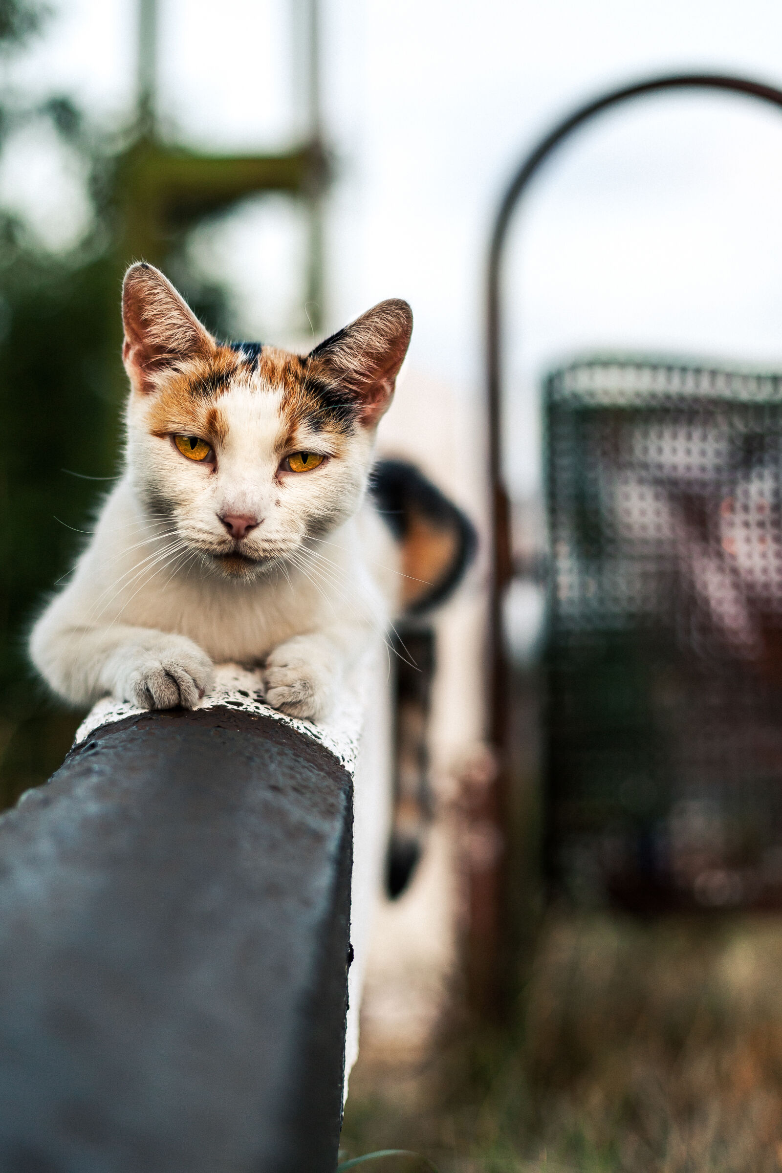 Canon EOS 5D Mark II sample photo