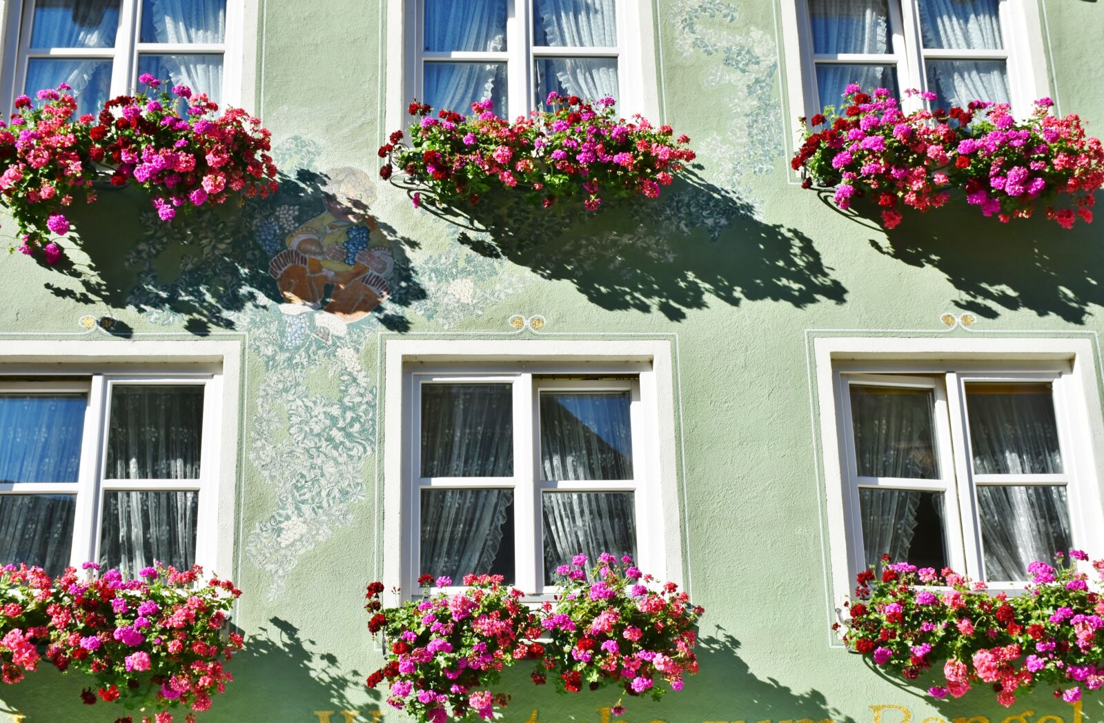 Nikon D7200 sample photo. Flowers, floral decorations, geranium photography