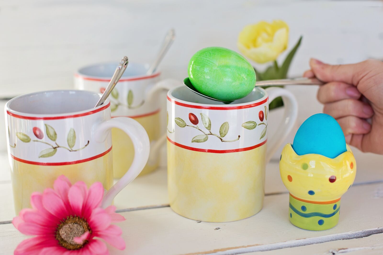 Canon EF 50mm F1.4 USM sample photo. Easter egg coloring, egg photography
