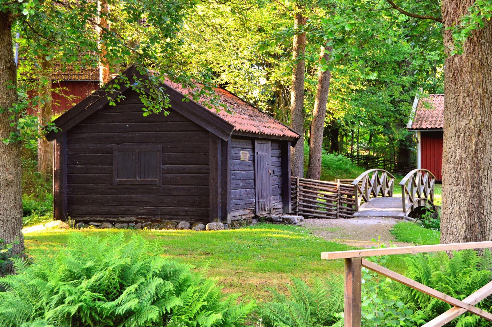 Nikon D3200 sample photo. Apladalen, värnamo, sweden photography
