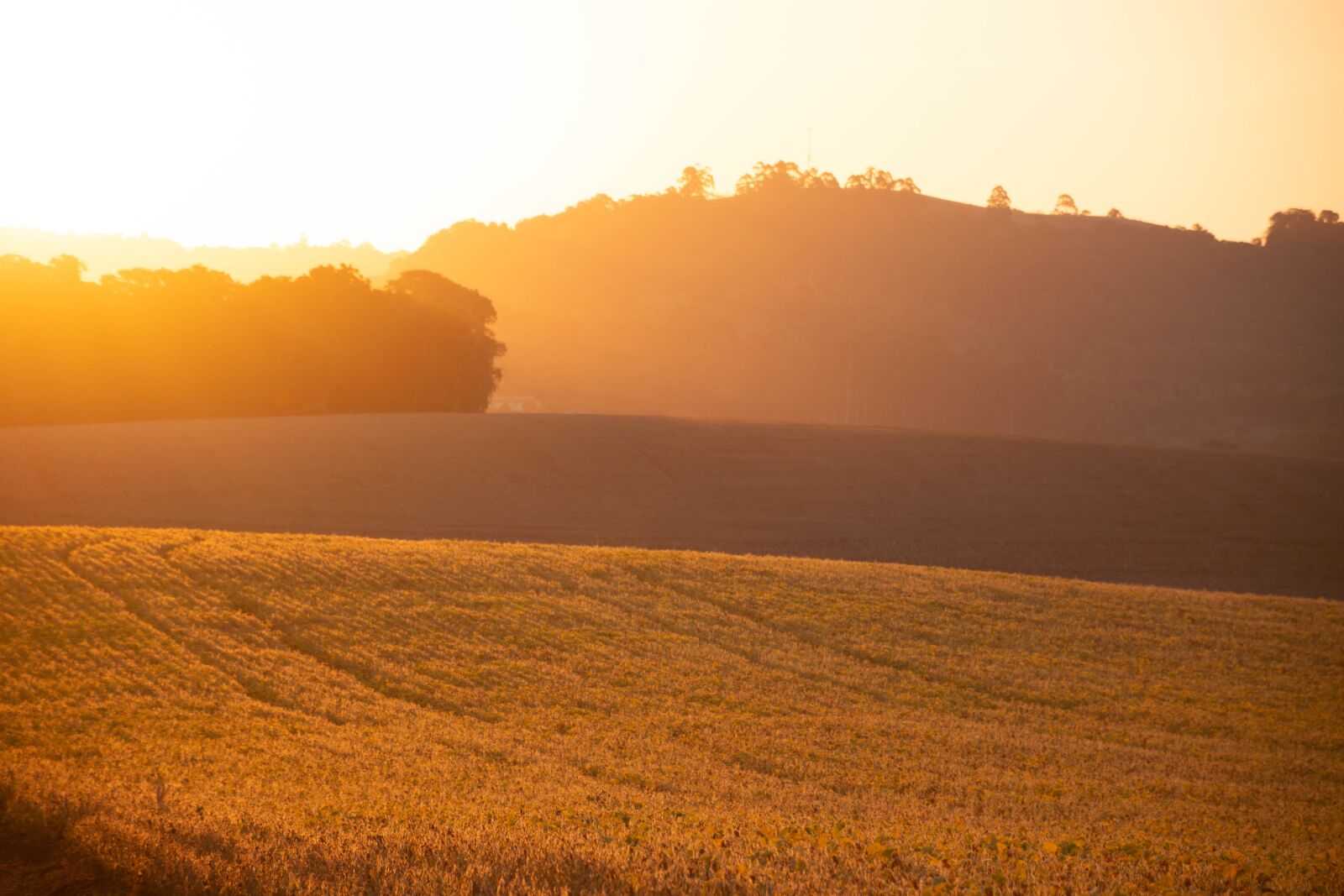 Nikon D7200 sample photo. Field, sunset, landscape photography