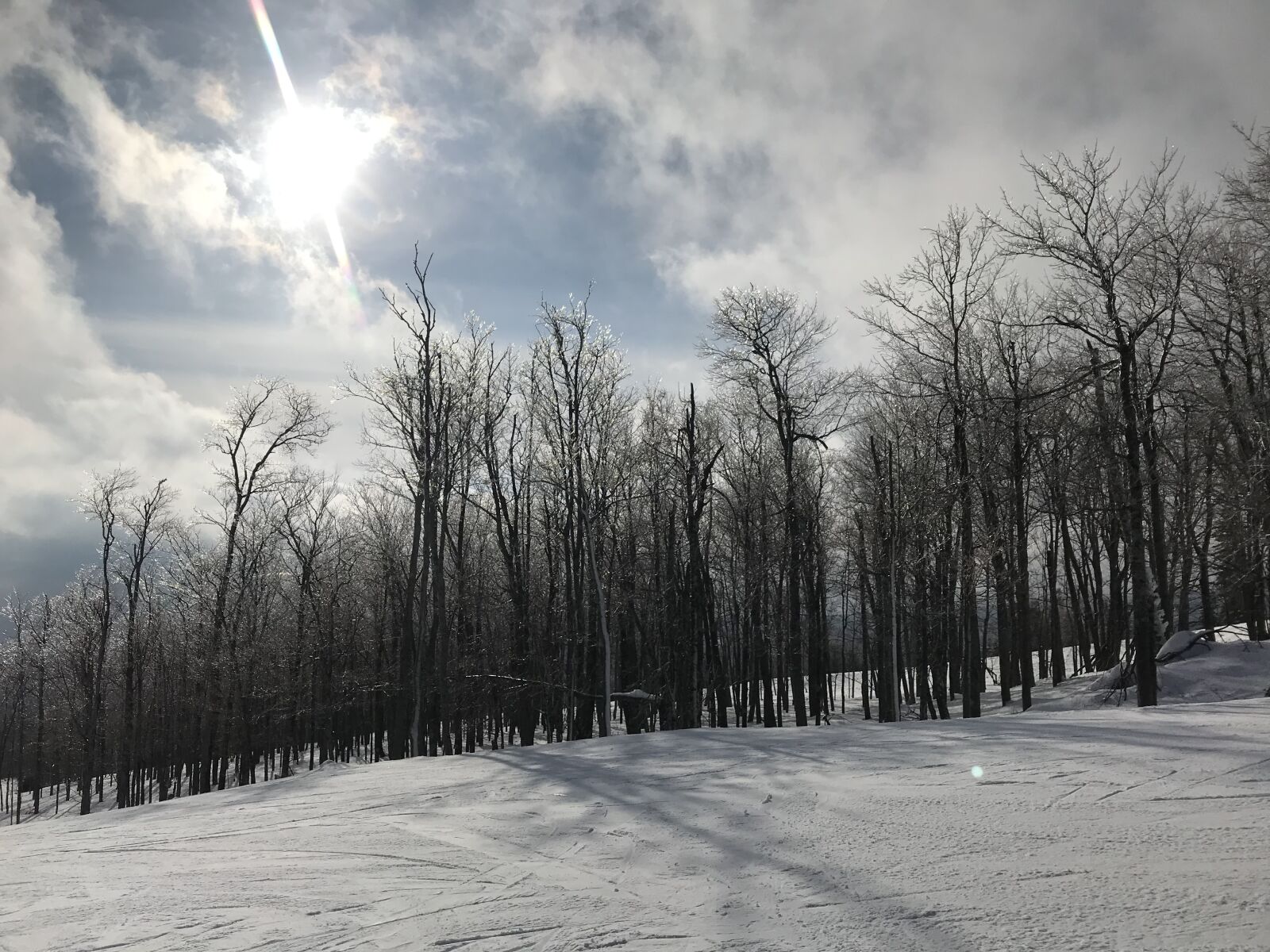 iPhone 7 Plus back dual camera 3.99mm f/1.8 sample photo. Sun, winter, landscape photography